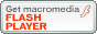 macromedia Flash Player